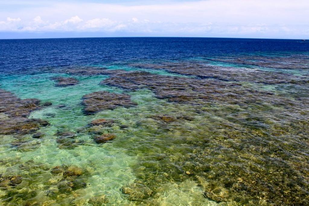 Coral View Beach Resort อูติลา ภายนอก รูปภาพ